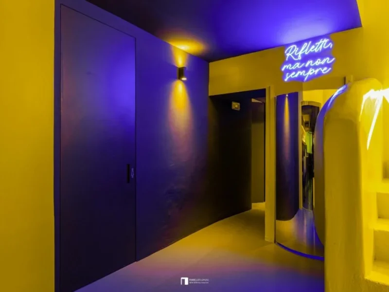 Porte battante invisible speciale