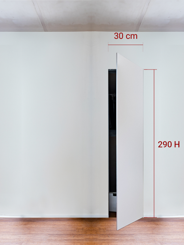 Armoire invisible 1 vantail 30x290 cm